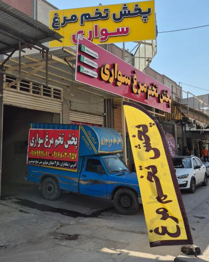 عکس پخش تخم مرغ سواری 