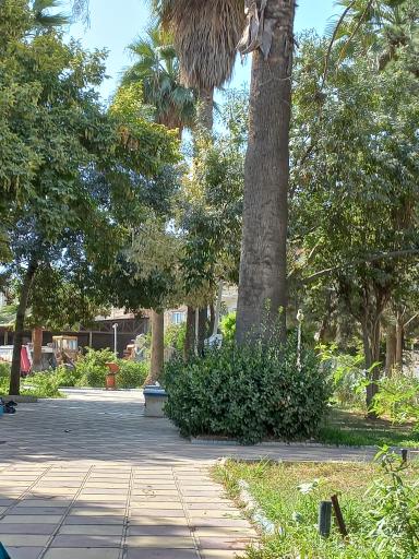 عکس پارک شهرداری