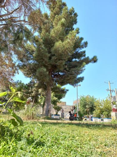 عکس پارک شهرداری