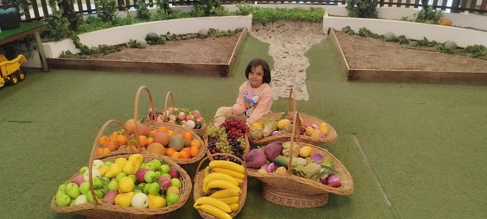 عکس سرزمین سحرخیز شعبه باغ کتاب شعبه اراضی عباس آباد