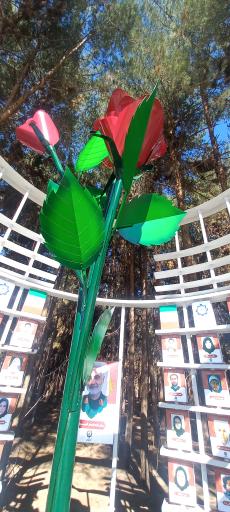 عکس محل عملیات تروریستی ۱۳ دی کرمان