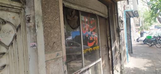 عکس لنت کوبی دقت