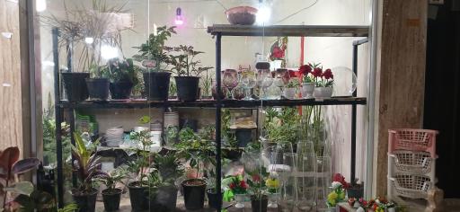 عکس گل‌فروشی گلدون