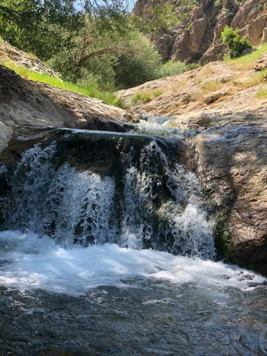 عکس باغات اشنویه
