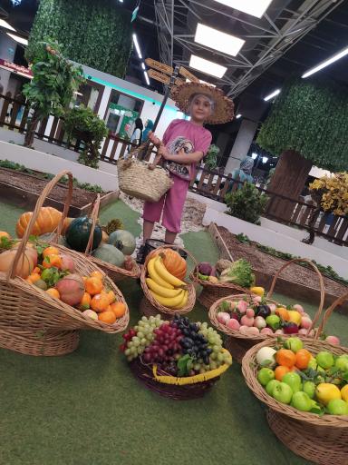 عکس سرزمین سحرخیز شعبه باغ کتاب