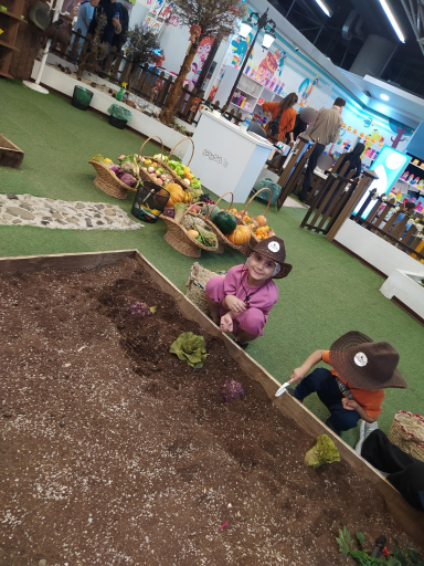 عکس سرزمین سحرخیز شعبه باغ کتاب