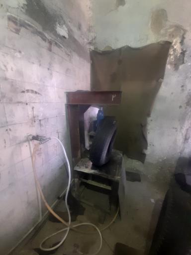 عکس آپاراتی عالیجناب