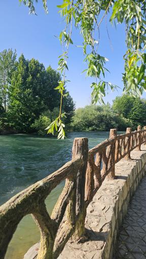 عکس پارک کله مسیح