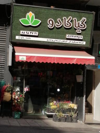 عکس گیا کادو