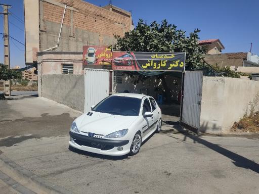 دکتر کارواش
