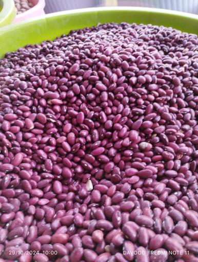 عکس هایپر ارگانیک سراب