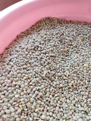 عکس هایپر ارگانیک سراب