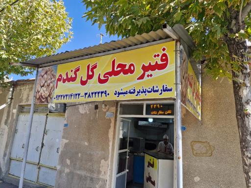 عکس فتیر محلی گل گندم