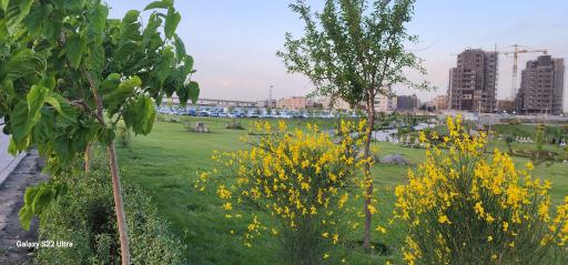 عکس پارکینگ چهل بازه