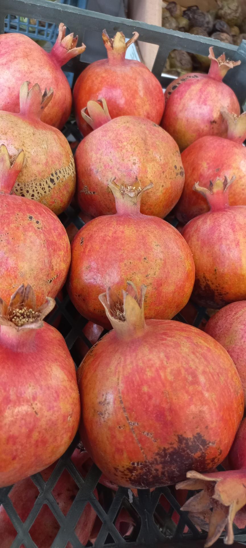 عکس میوه فروشی نوبار