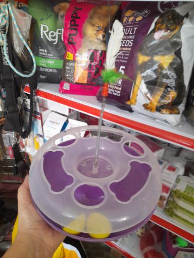 عکس پت شاپ آریا