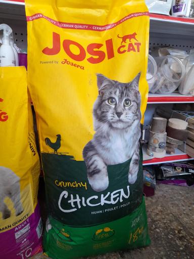 عکس پت شاپ آریا