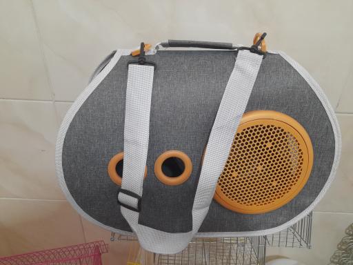 عکس پت شاپ آریا