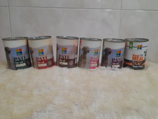 عکس پت شاپ آریا