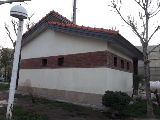 سرویس بهداشتی