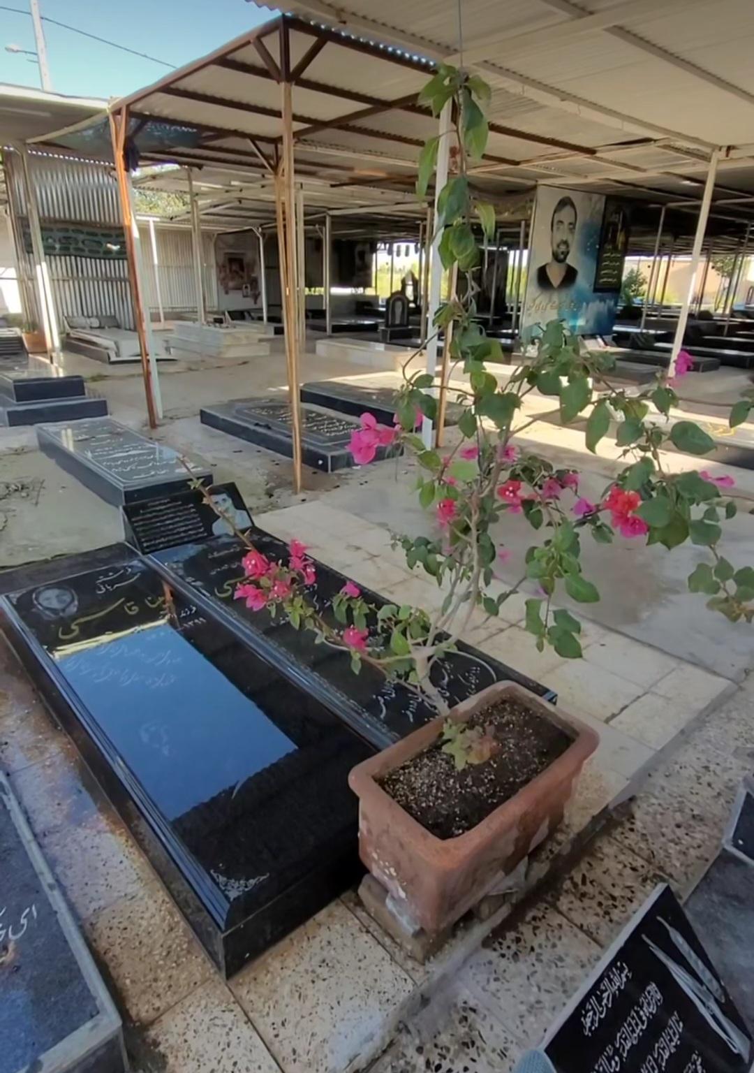 عکس مزار احمدرضا و مینا