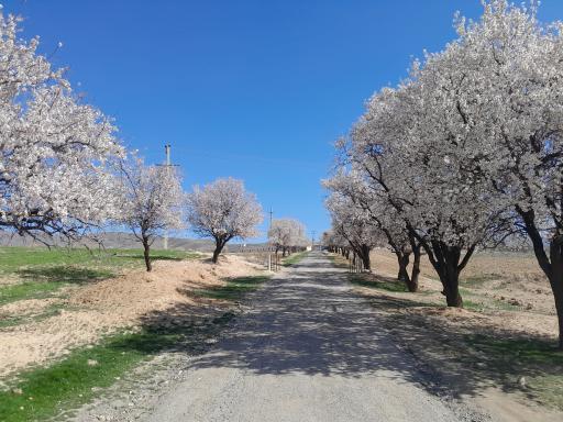 بوستان معلم