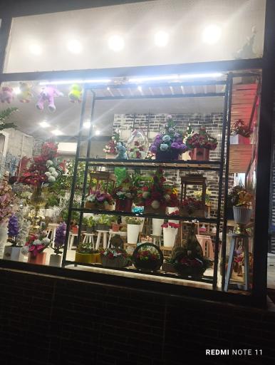 عکس گلسرای بهار 