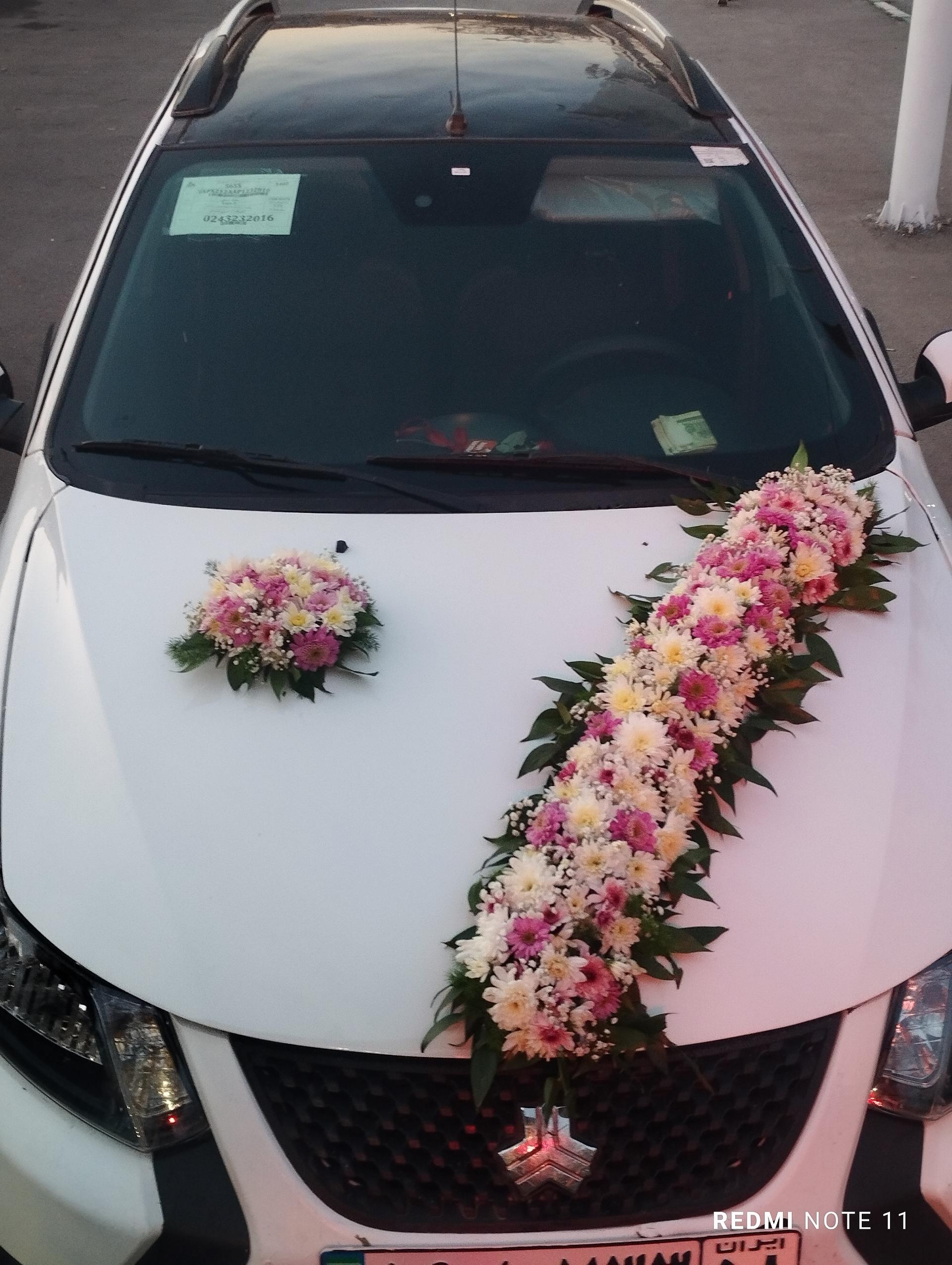 عکس گلسرای بهار 