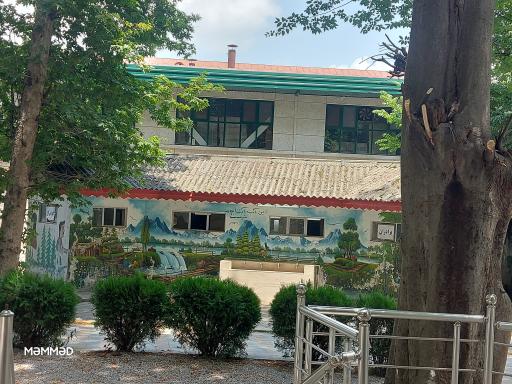 سرویس بهداشتی