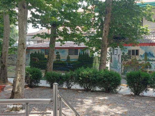 سرویس بهداشتی