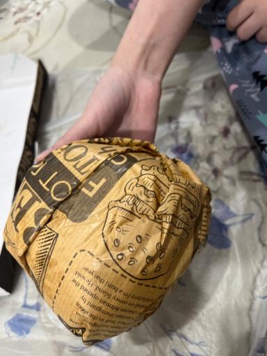 عکس پیتزا پانیذ