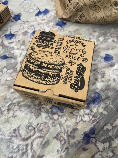 عکس پیتزا پانیذ