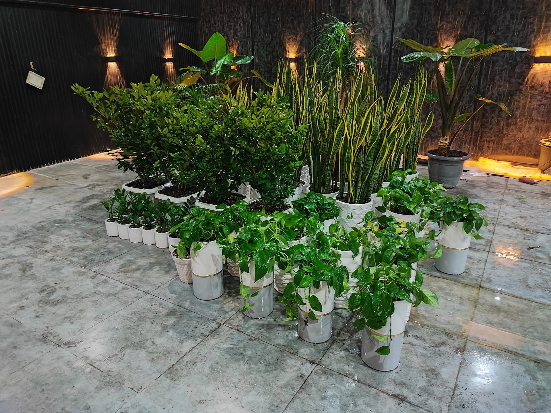 عکس هتل آپارتمان میلاد