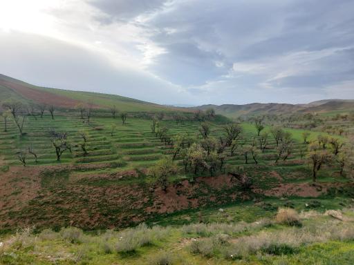 عکس یل آباد