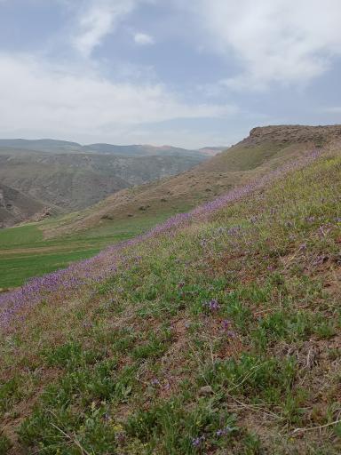 عکس یل آباد