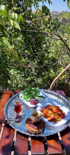 عکس کافه کوهساران 