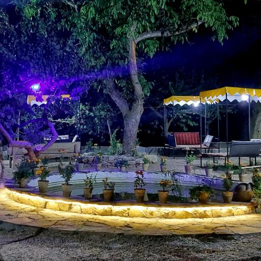 عکس کافه کوهساران 