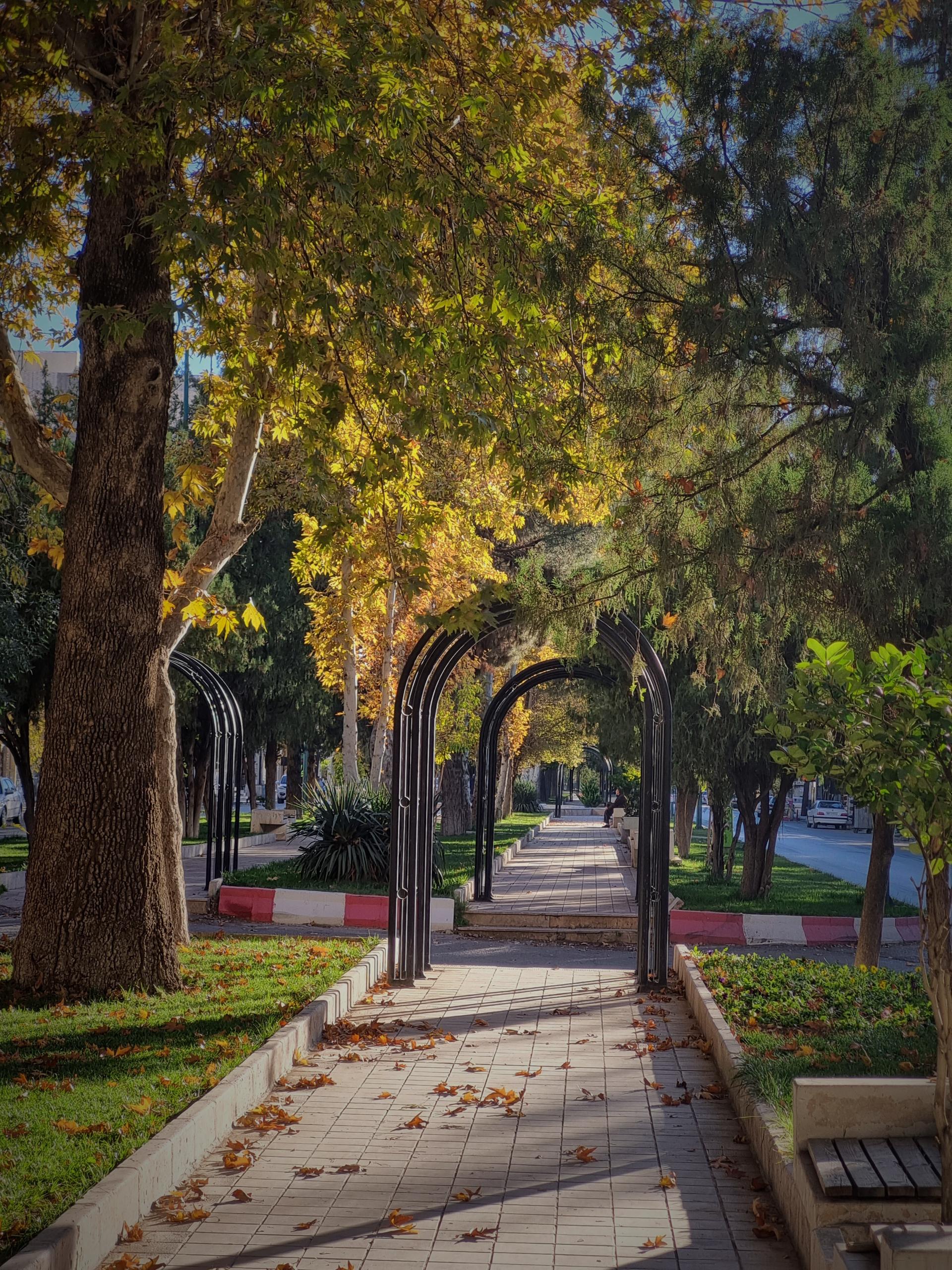 عکس میدان امام خمینی (ره)