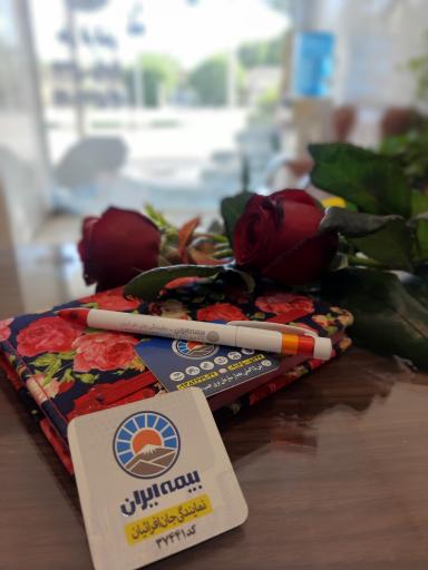 عکس بیمه ایران جان افرائیان