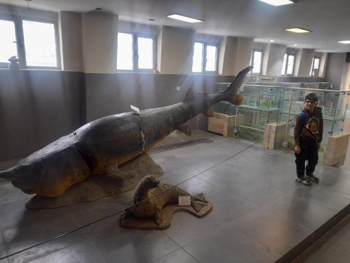 عکس هیومن پارک