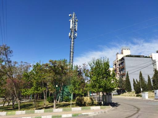 عکس بوستان ارغوان