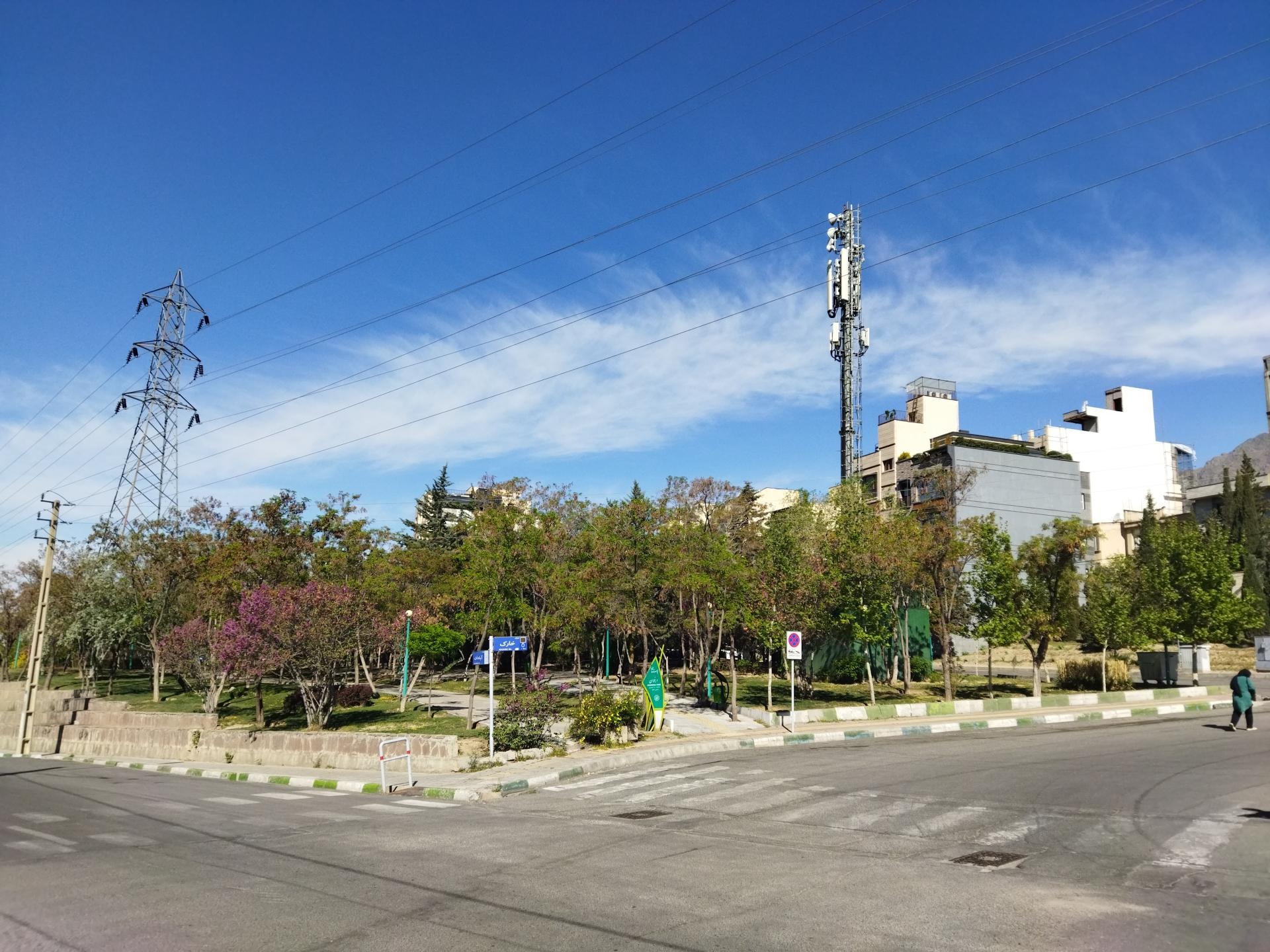 عکس بوستان ارغوان