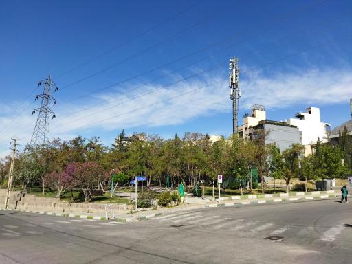 عکس بوستان ارغوان