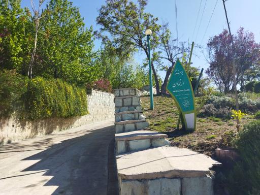 عکس بوستان ارغوان