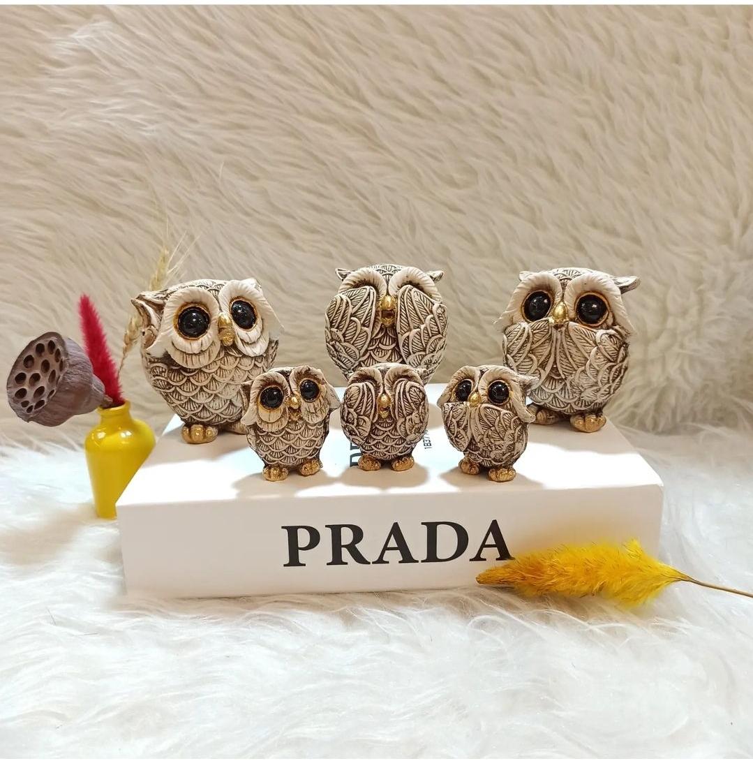 عکس کادویی علی بابا