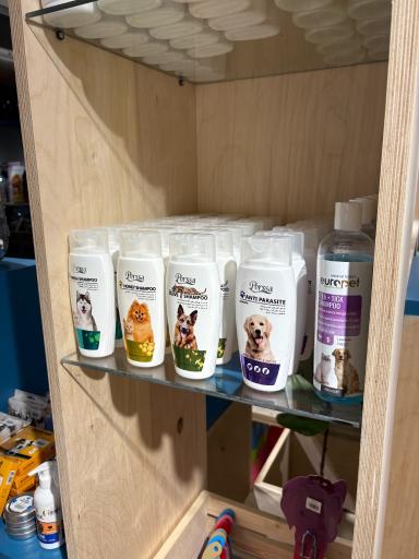 پت شاپ پتی ما