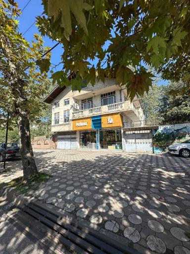 عکس پت شاپ پتی ما