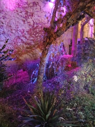 عکس باغ  تالار سیب