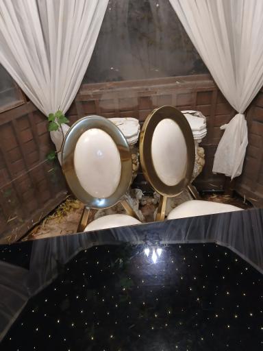 عکس باغ  تالار سیب