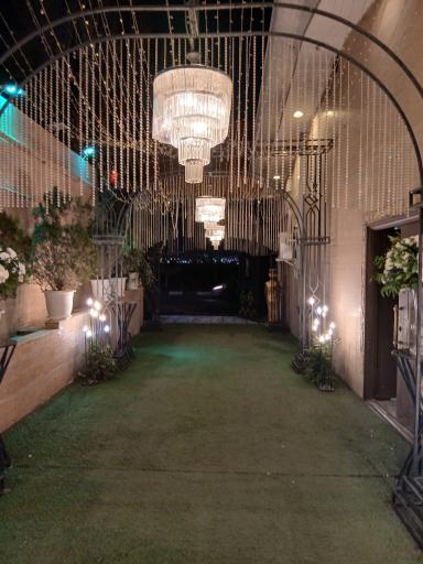 عکس باغ  تالار سیب